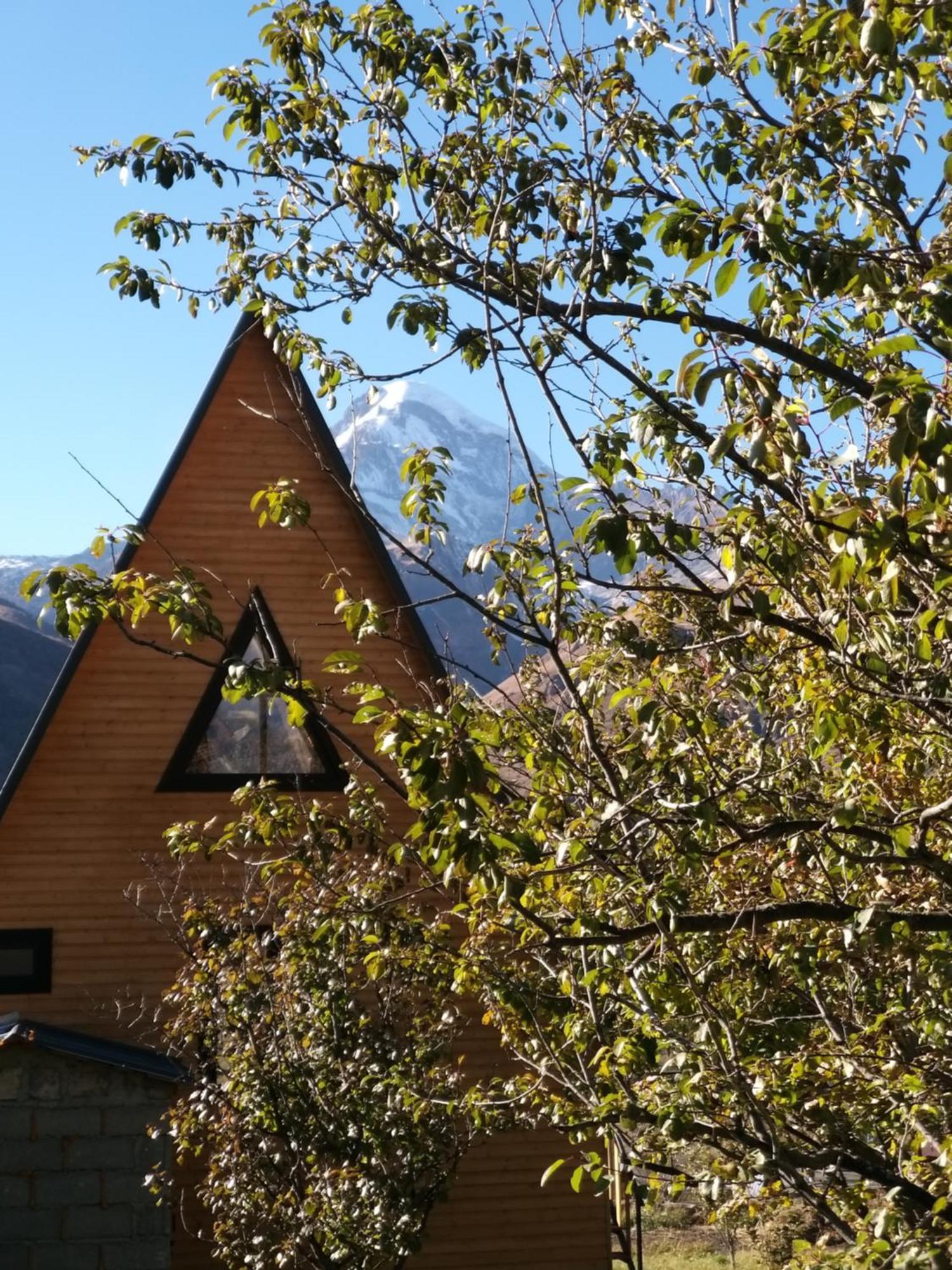 Emotion Kazbegi Apartment Room photo